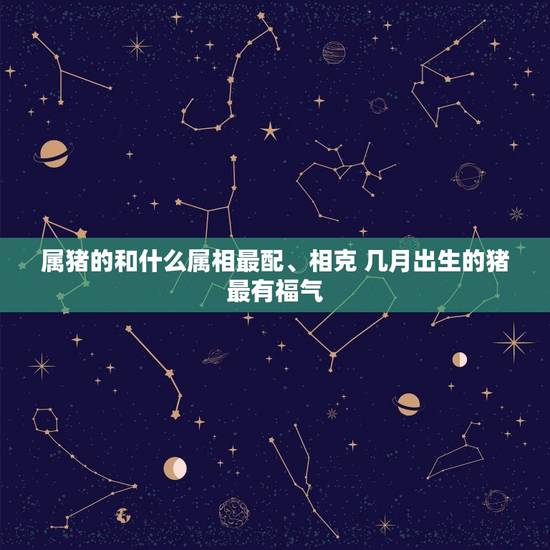 属猪的和什么属相最配、相克 几月出生的猪最有福气