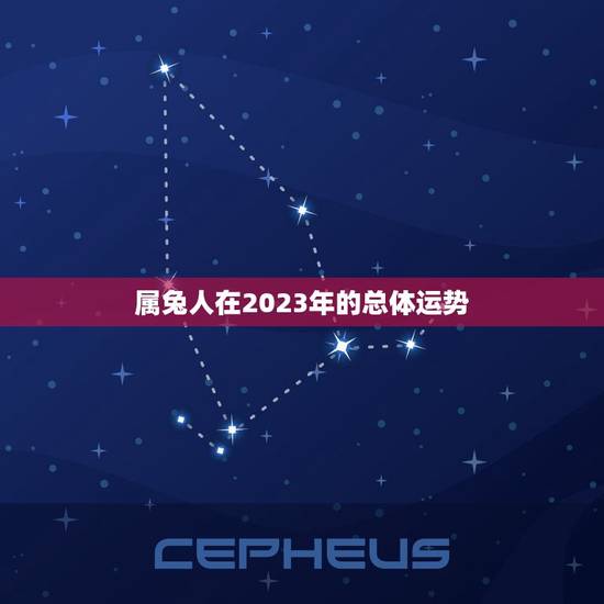 属兔人在2023年的总体运势