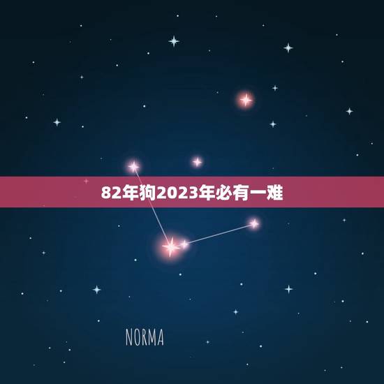 82年狗2023年必有一难 2023年属狗人的全年运势详解