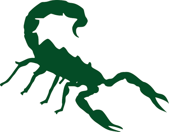 十二星座男眼中的天蝎女(神秘诱惑难以捉摸的魅力)