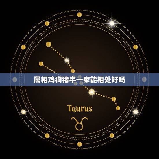 属相鸡狗猪牛一家能相处好吗，一家人属相有猴鸡狗猪好不好