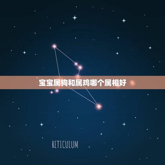 宝宝属狗和属鸡哪个属相好，属狗母亲属鸡孩子属什么好