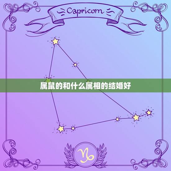 属鼠的和什么属相的结婚好,属鼠的和什么属相最配 属鼠的属相婚配表 属鼠的和什么属相的结婚好,属鼠的和什么属相最配 属鼠的属相婚配表