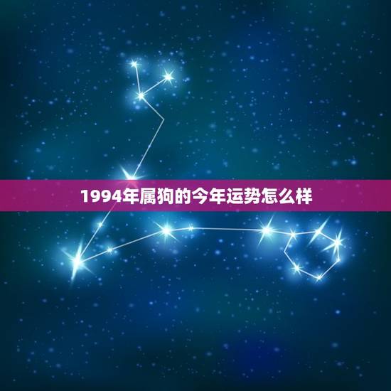 1994年属狗的今年运势怎么样(狗年大展宏图财运亨通)