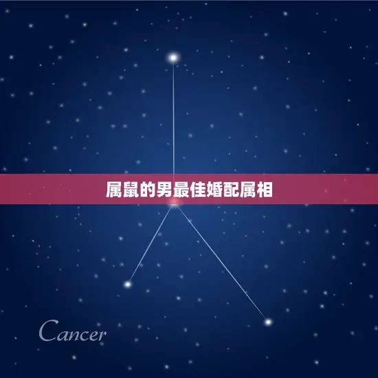 属鼠的男最佳婚配属相 属鼠的男最佳婚配属相