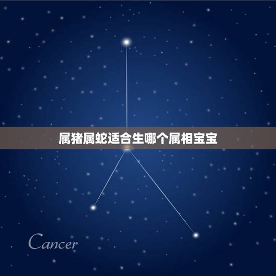 属猪属蛇适合生哪个属相宝宝，属蛇和属猪的能做伴侣吗？请高人请点，另个要