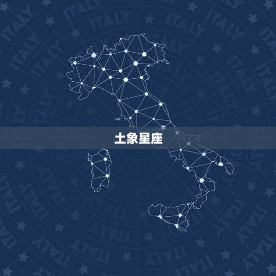 土象星座 土象星座