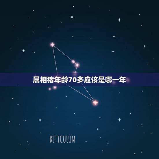 属相猪年龄70多应该是哪一年，属猪的今年多大年龄2023