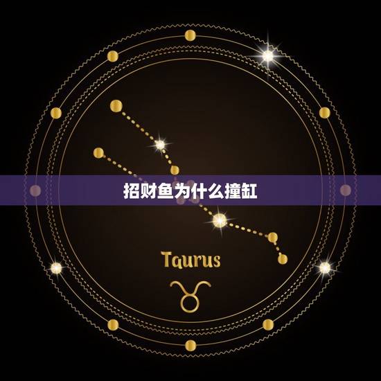 招财鱼为什么撞缸，我家的招财鱼为什么要撞水族箱