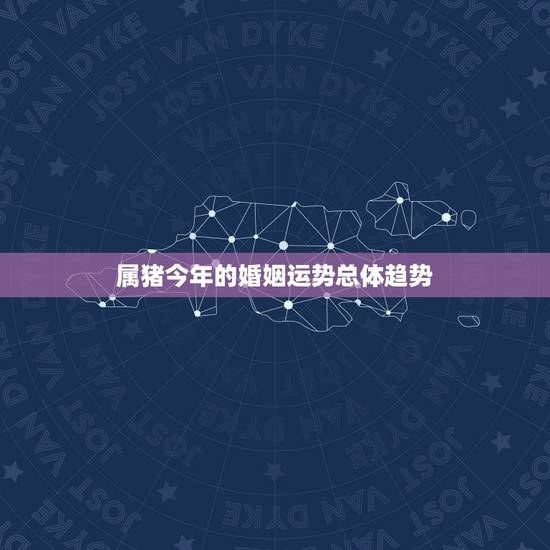 属猪今年的婚姻运势总体趋势