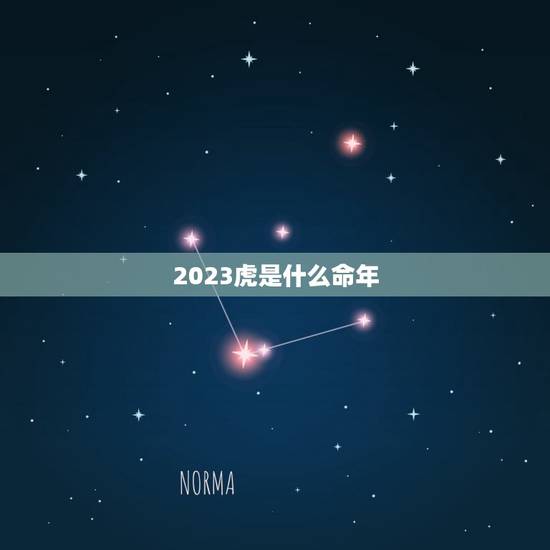 2023虎是什么命年,2023年是什么虎 2023虎是什么命年,2023年是什么虎