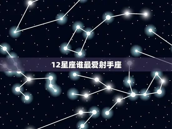 12星座谁最爱射手座
