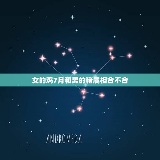女的鸡7月和男的猪属相合不合，男属猪，女属鸡 八字 合不合？