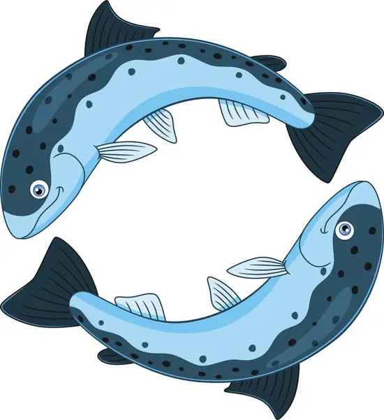 为什么双鱼座是第十二宫(探究星座排列的奥秘)