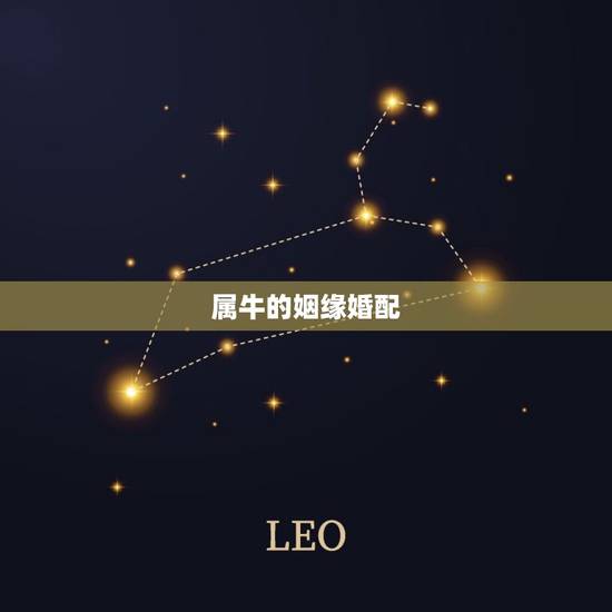 属牛的姻缘婚配，属蛇和属牛的姻缘婚配