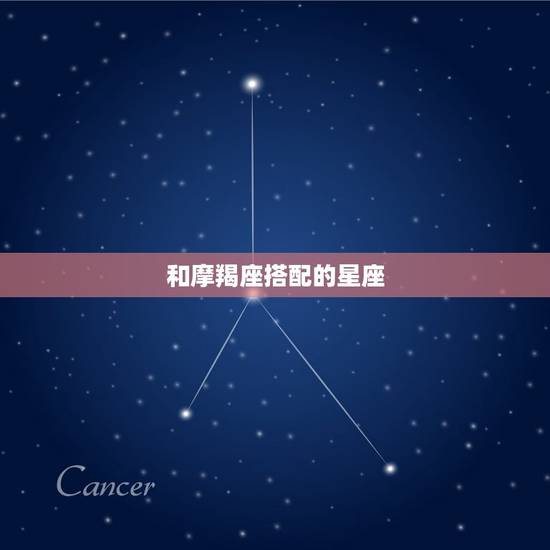 和摩羯座搭配的星座，摩羯最搭的星座