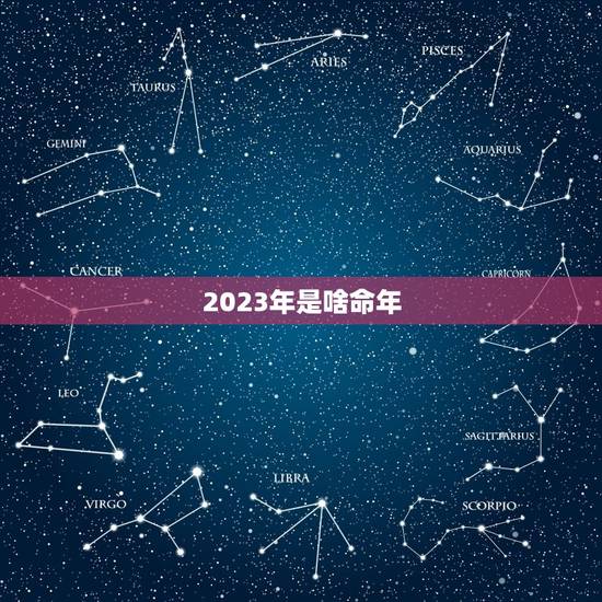 2023年是啥命年