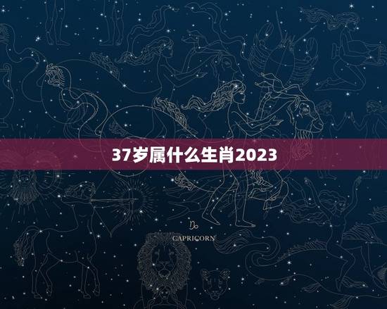 37岁属什么生肖2023，生肖年龄对照表2023