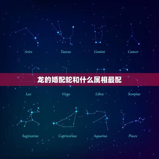 龙的婚配蛇和什么属相最配，属龙和属蛇的配吗？