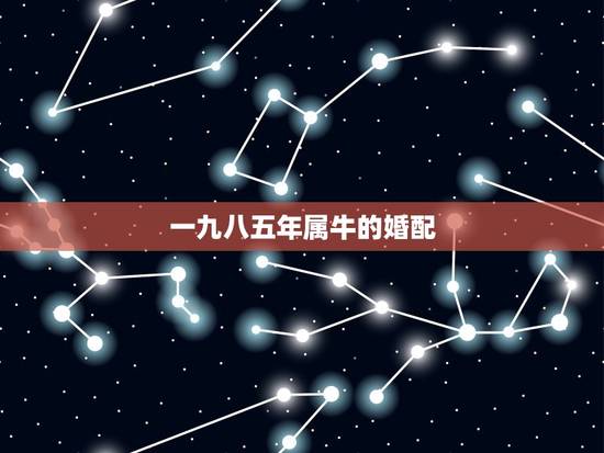 一九八五年属牛的婚配，85年属牛的和什么属相最配