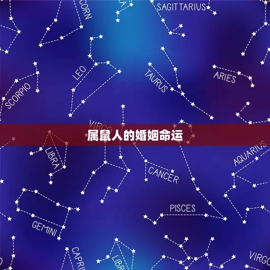 属鼠人的婚姻命运