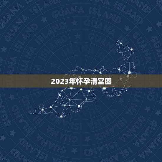 2023年怀孕清宫图，谁有清宫图啊？借鉴一下