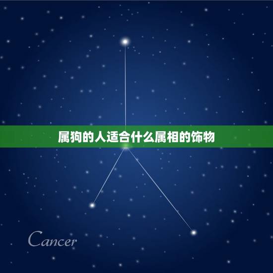 属狗的人适合什么属相的饰物，属狗戴什么生肖吊坠好