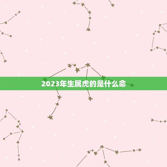 2023年生属虎的是什么命,2023什么年属什么,什么命 2023年生属虎的是什么命,2023什么年属什么,什么命