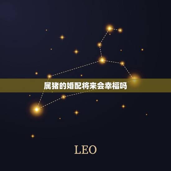 属猪的婚配将来会幸福吗，属相婚配：男属猪和女属猪相配吗