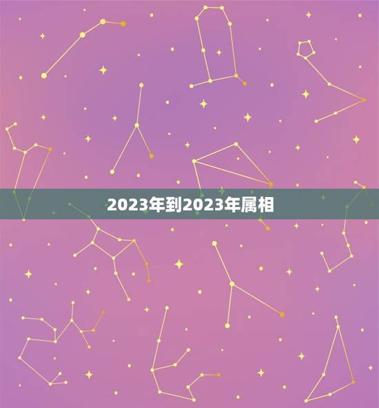 2023年到2023年属相，2023年2月12日属什么生肖