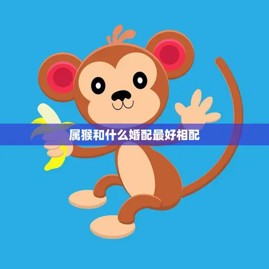 属猴和什么婚配最好相配(寻找最佳婚姻组合)