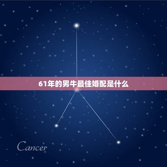 61年的男牛最佳婚配是什么，61年男牛和71年女猪婚配