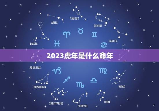 2023虎年是什么命年，2023年是什么虎