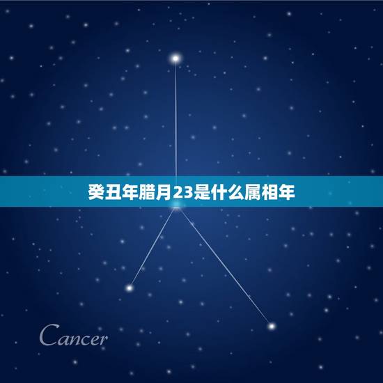 癸丑年腊月23是什么属相年，万年历查询1969年腊月23阳历是多少？