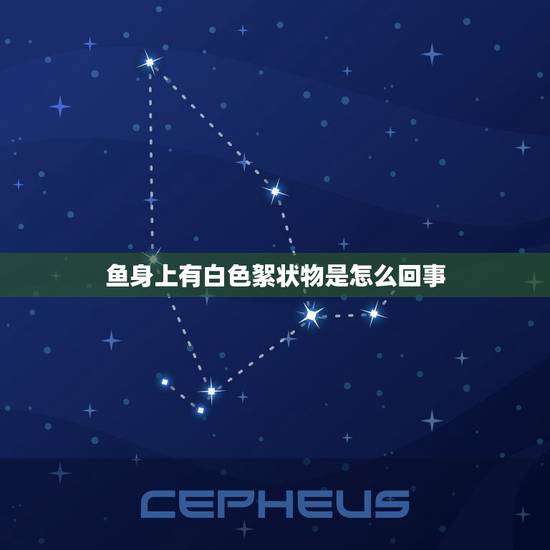 鱼身上有白色絮状物是怎么回事，斗鱼跳出鱼缸，放回去后身上有白色絮状物，