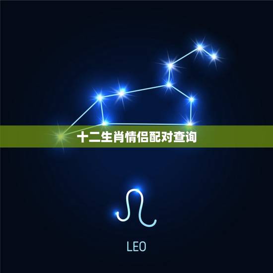 十二生肖情侣配对查询，十二生肖年份表