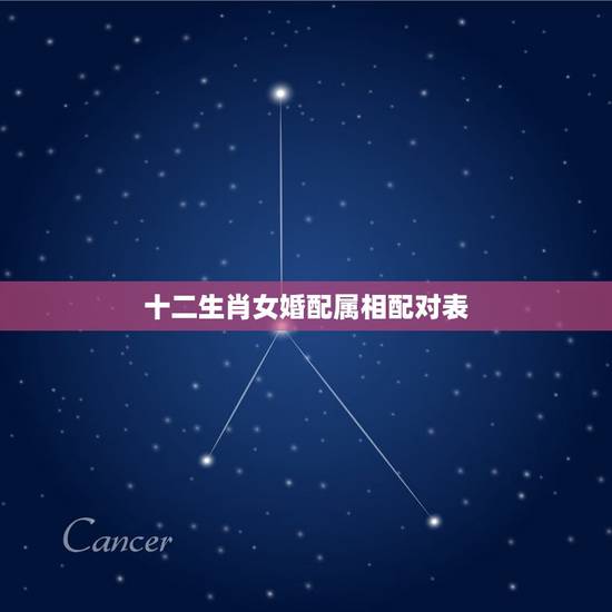 十二生肖女婚配属相配对表，最准的12生肖配对表？