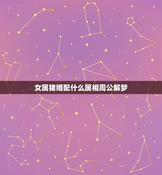 女属猪婚配什么属相周公解梦，属猪的女性和什么属相最配