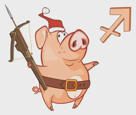 金牛座与射手座对立