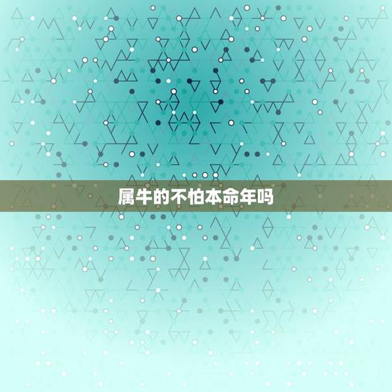 属牛的不怕本命年吗，属牛的本命年