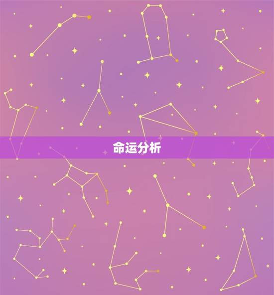 命运分析