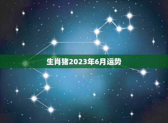生肖猪2023年6月运势(财运亨通感情顺利)