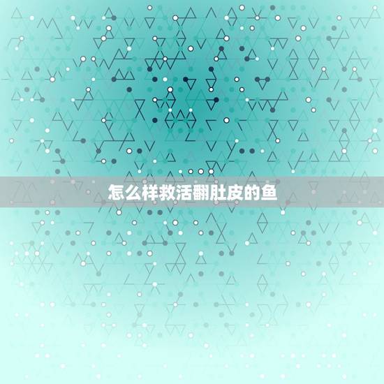 怎么样救活翻肚皮的鱼,鱼翻了肚皮如何挽救 怎么样救活翻肚皮的鱼,鱼翻了肚皮如何挽救