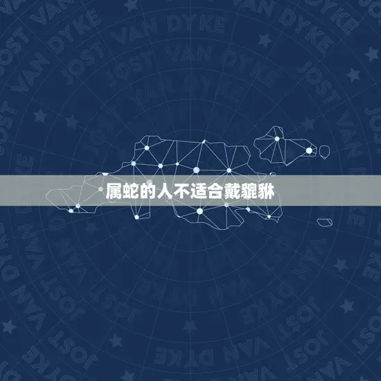 属蛇的人不适合戴貔貅