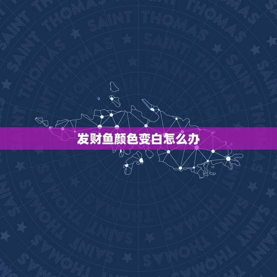 发财鱼颜色变白怎么办，发财鱼身体发白如何处理？