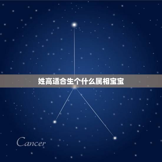 姓高适合生个什么属相宝宝，属马和什么属相不合