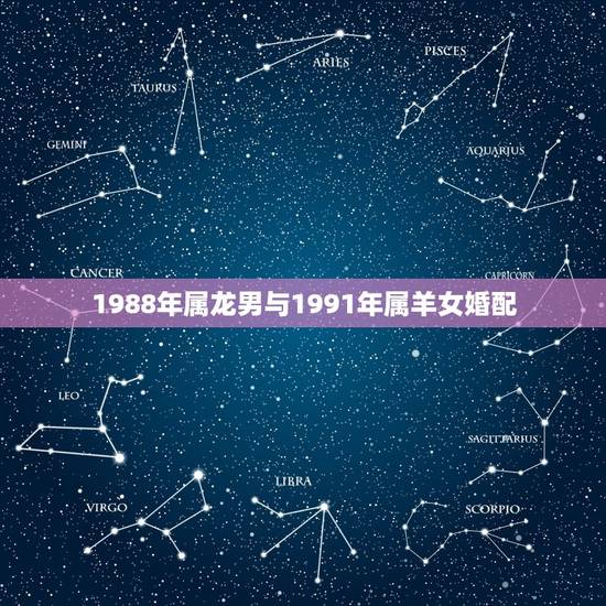 1988年属龙男与1991年属羊女婚配,1991年属羊女与1988年属 1988年属龙男与1991年属羊女婚配,1991年属羊女与1988年属