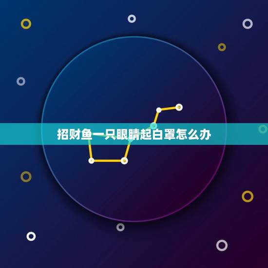 招财鱼一只眼睛起白罩怎么办，我家的招财鱼眼睛上有白斑，看不见了，怎么办