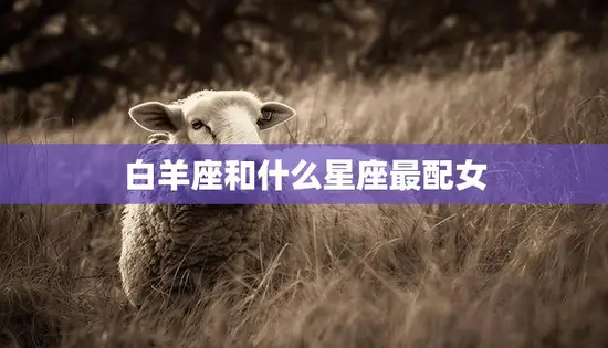 白羊座和什么星座最配女(最佳星座搭配大揭秘)