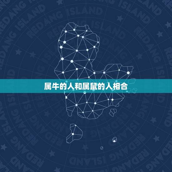 属牛的人和属鼠的人相合